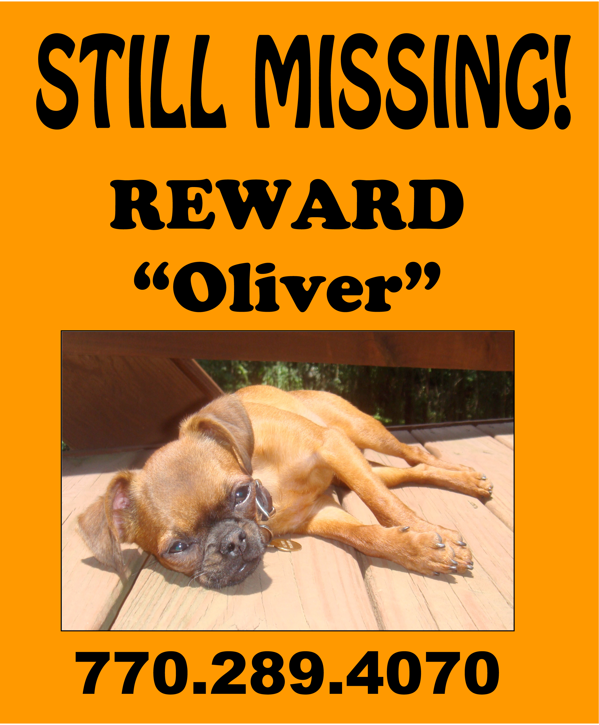Flyer Example Example Flyer