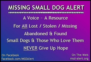www.msd-alert.org
