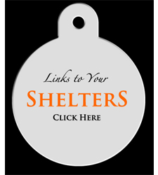 Dogtag_shelters