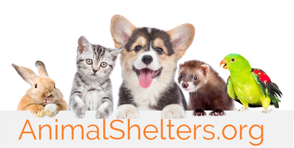 www.animalshelters.org