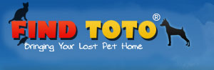 www.findtoto.com